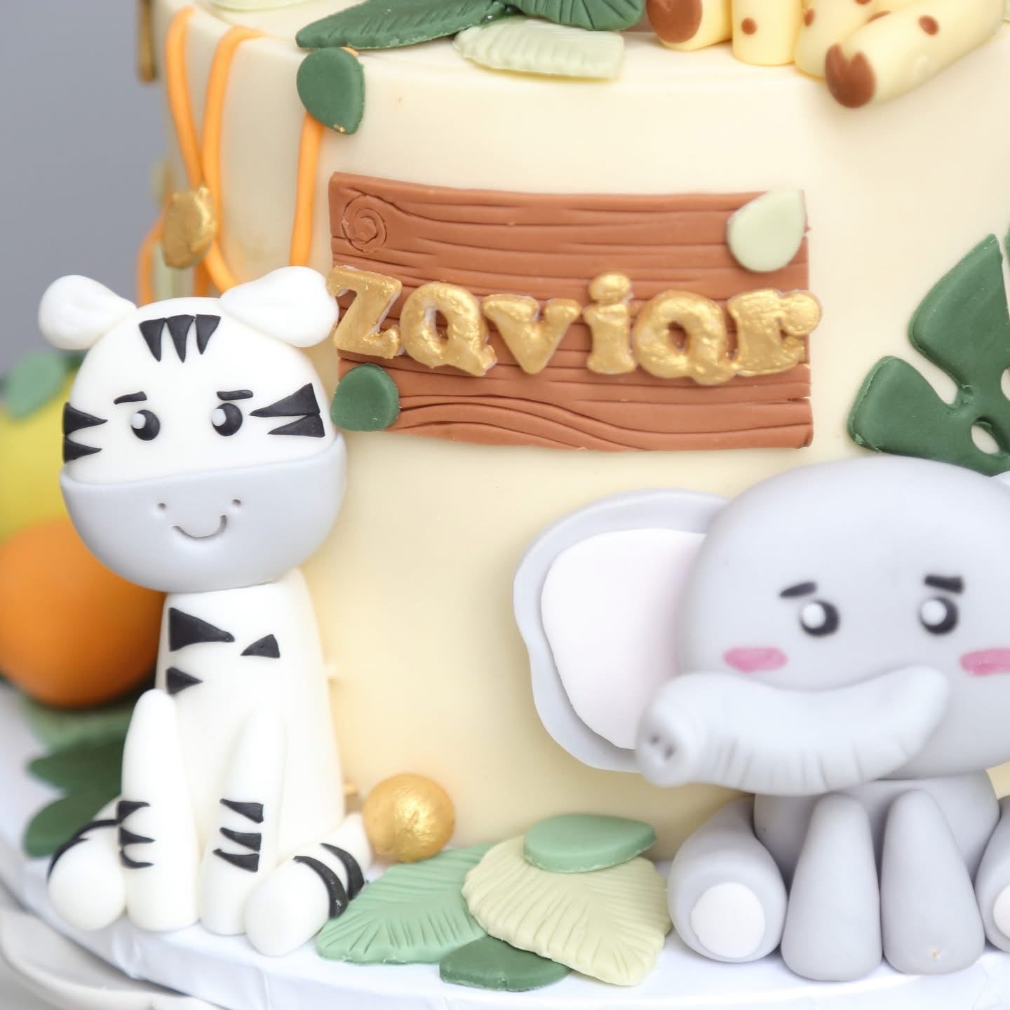 Safari Buddies Delight (Tiered)