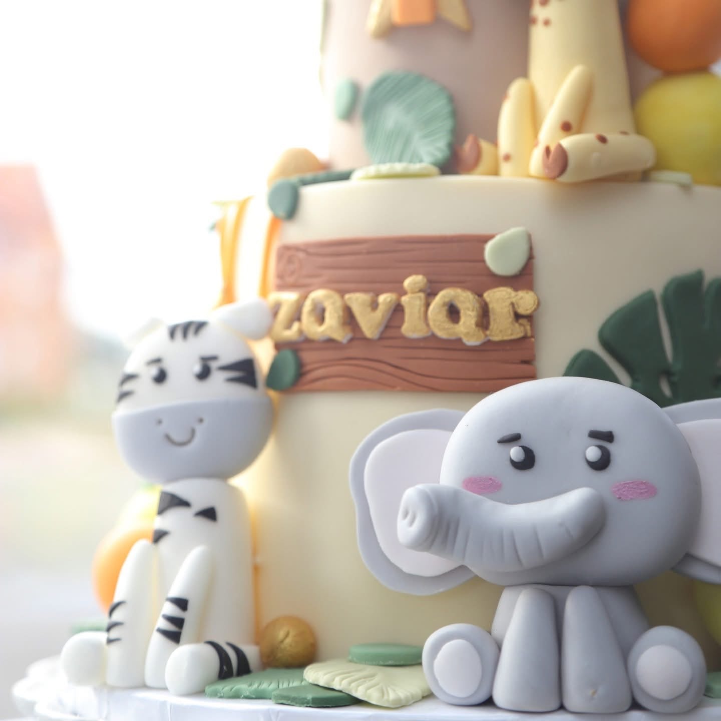 Safari Buddies Delight (Tiered)
