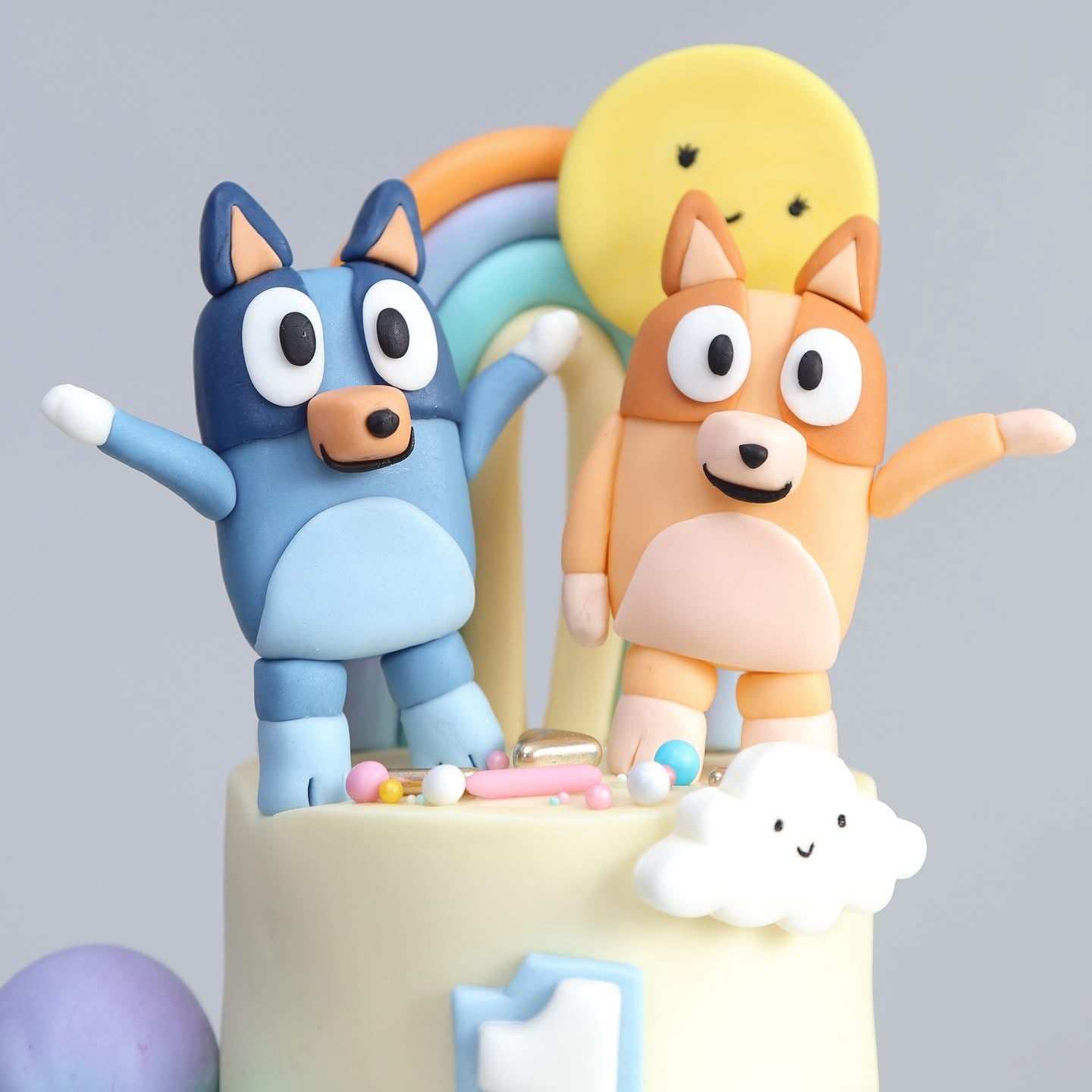 Bluey Sunshine Surprise