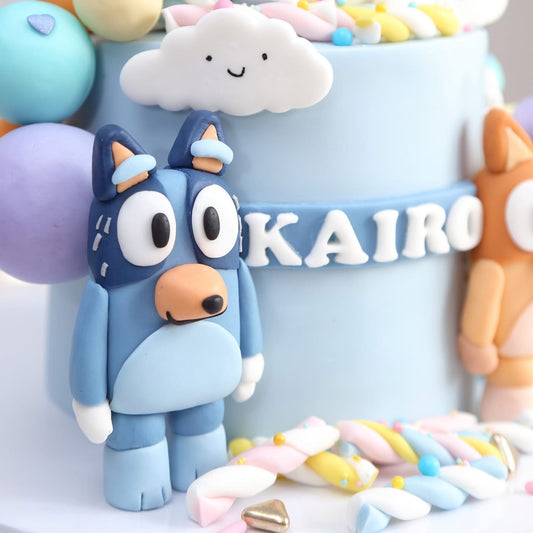 Bluey Sunshine Surprise