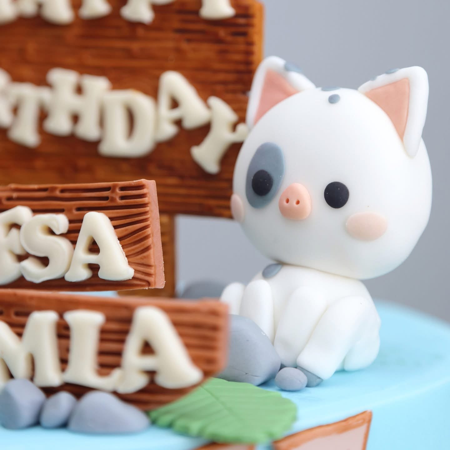 Moana’s Birthday Voyage Tier