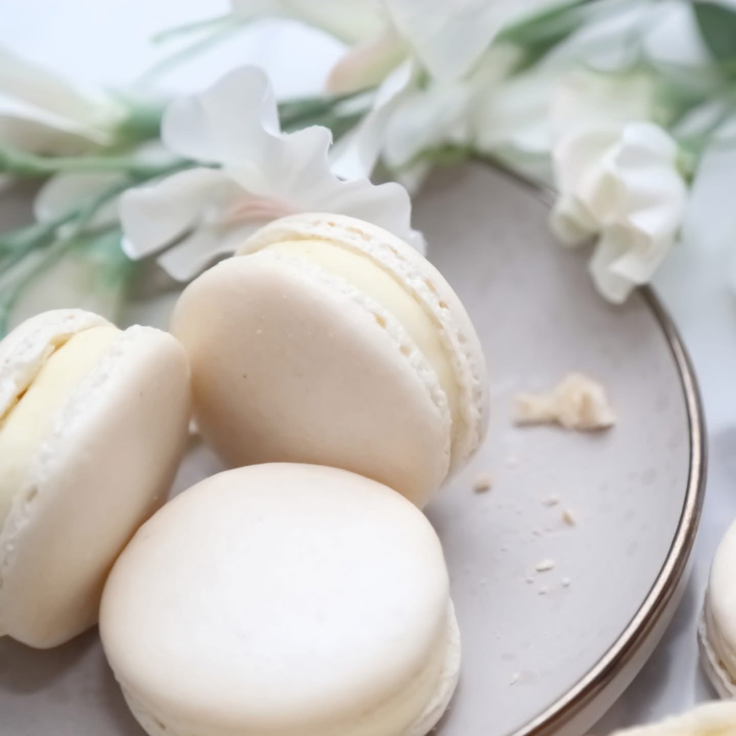Madagascar Vanilla (12 Macarons Box)