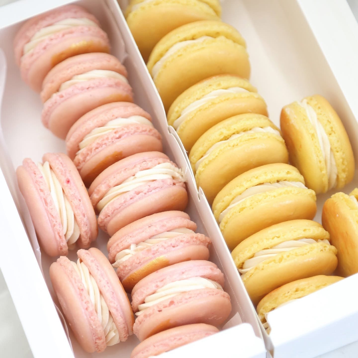 Madagascar Vanilla (12 Macarons Box)