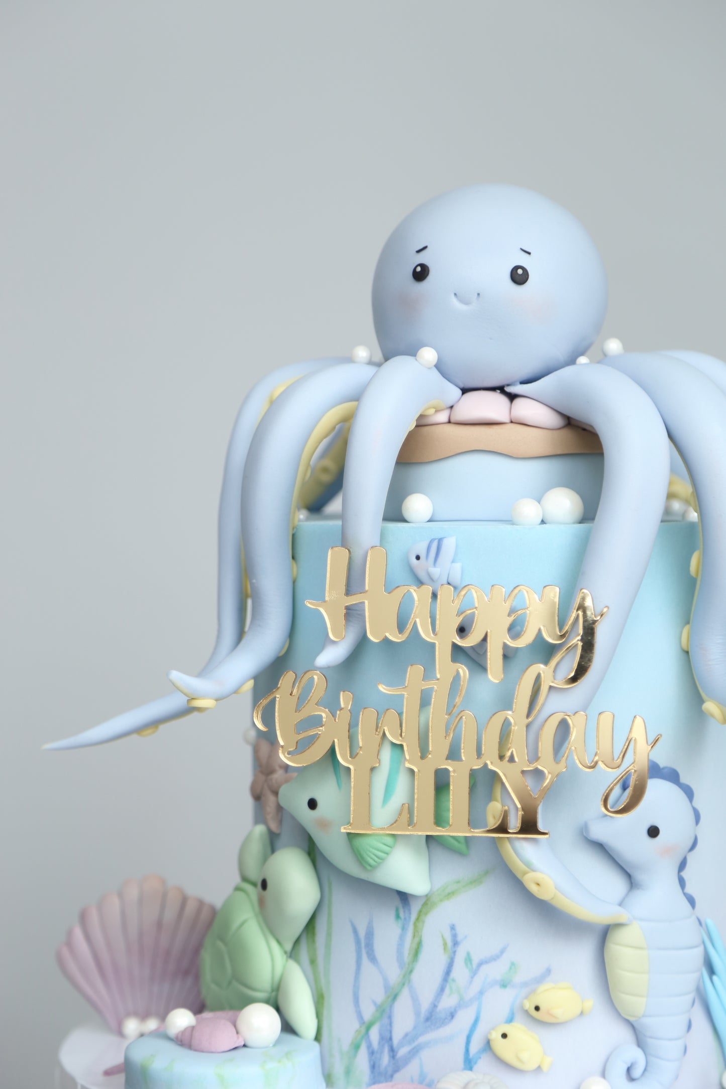 My Octopus & Friends Cake