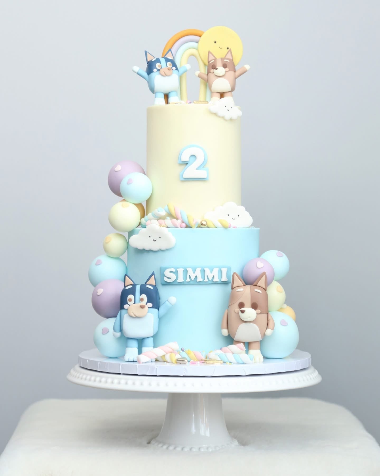 Pastel Bluey Family Party