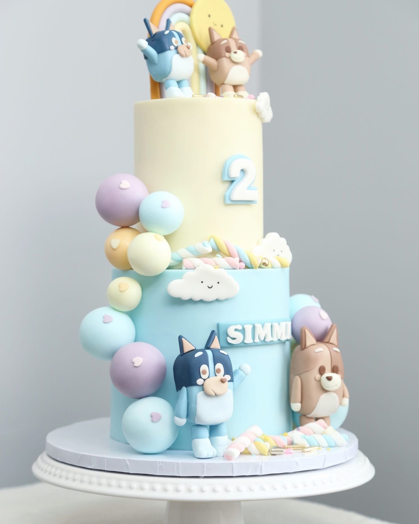 Pastel Bluey Family Party