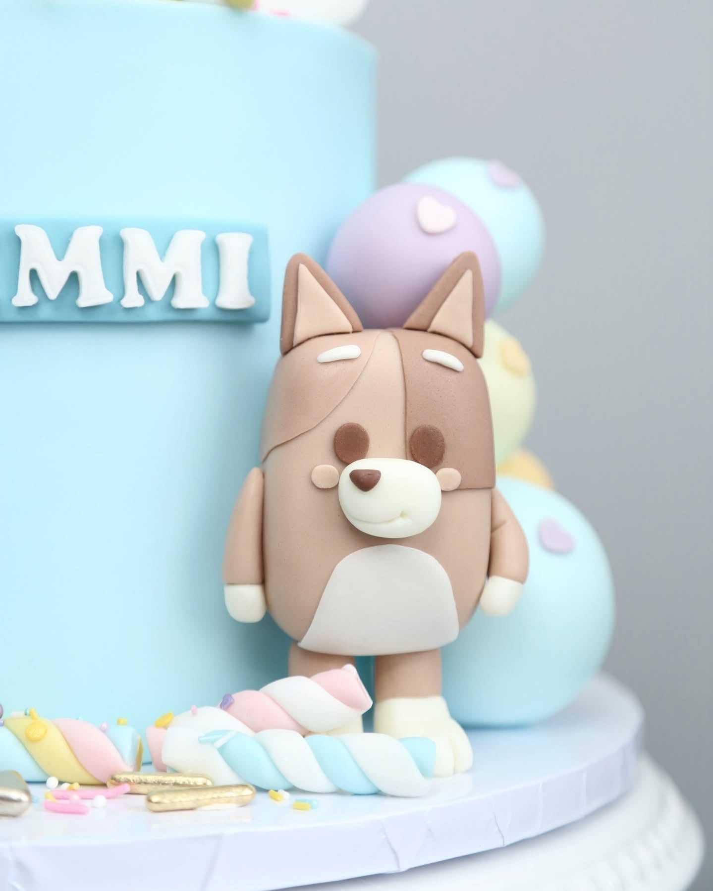 Pastel Bluey Family Party