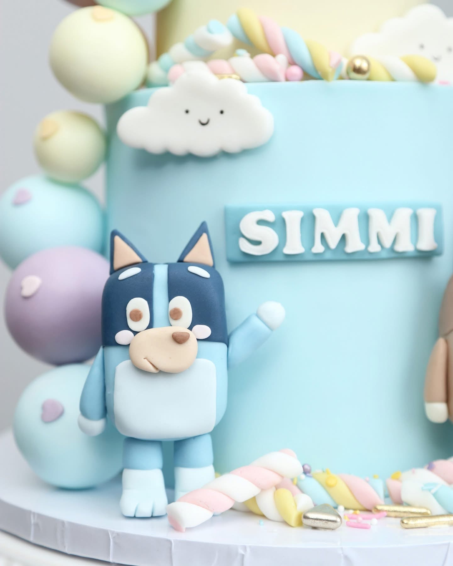 Pastel Bluey Family Party