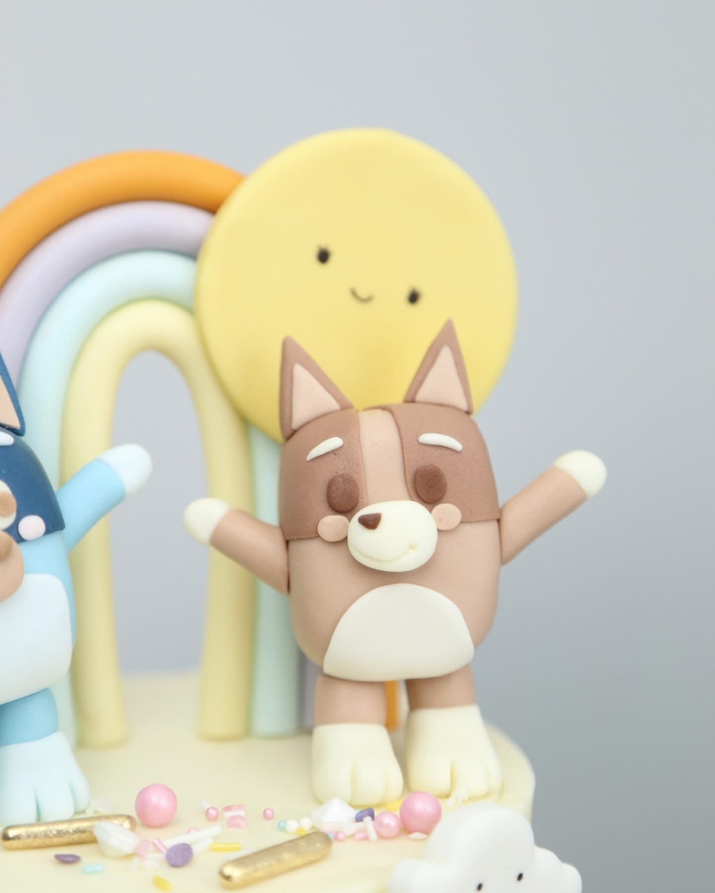 Pastel Bluey Family Party