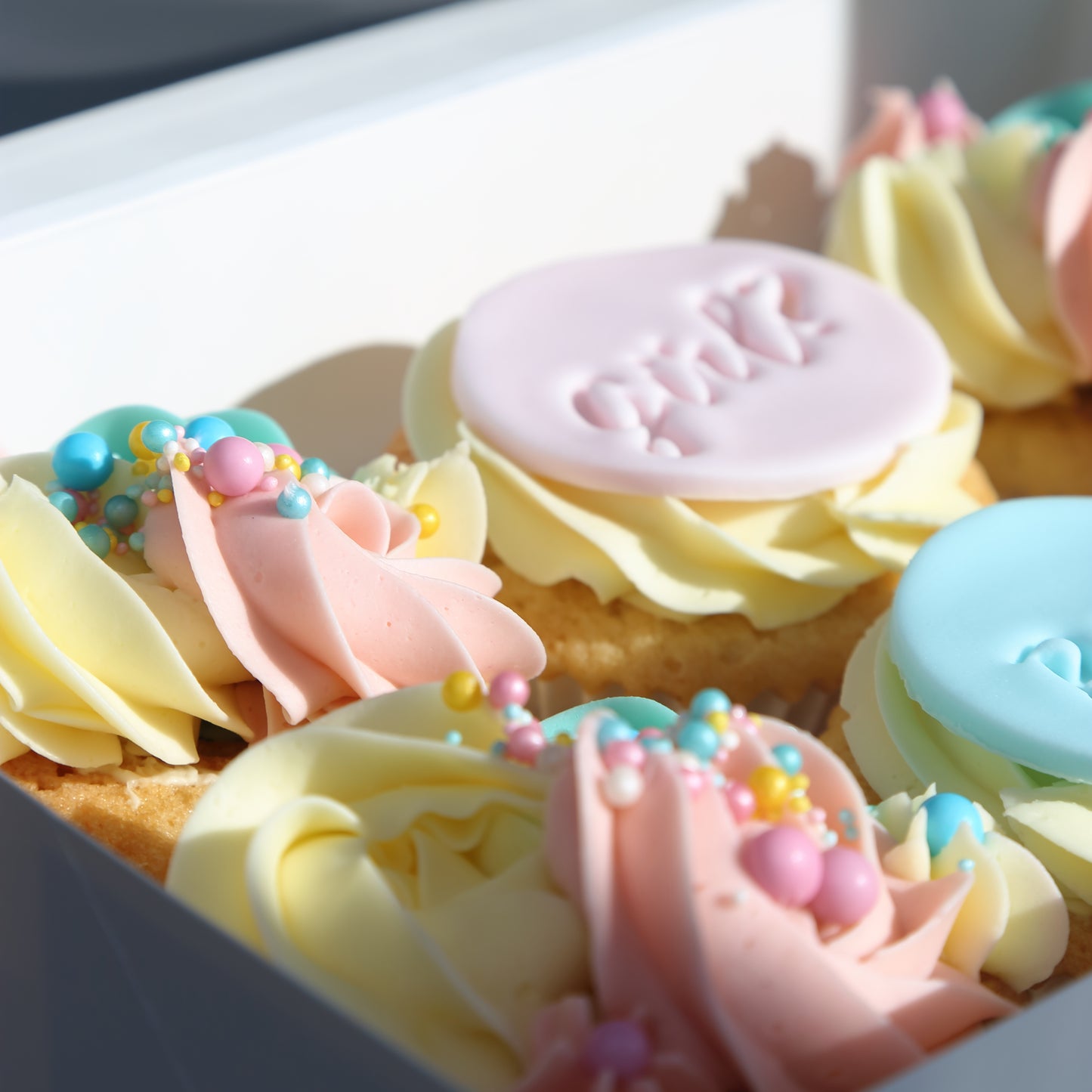 Cupcake with Message (6 pcs) [Gender Review]